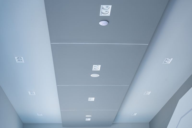 Ceiling Painting in Commercial Space